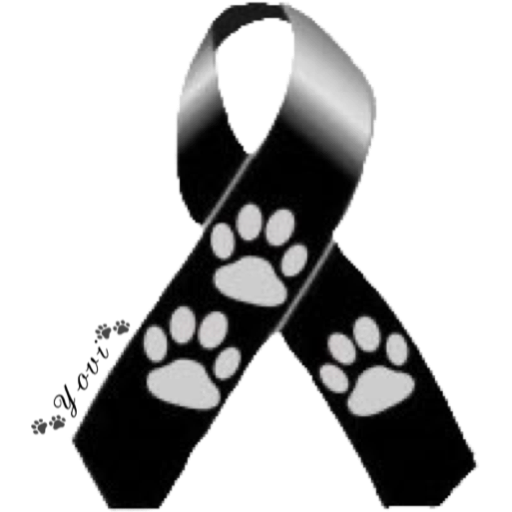 🐾Amor Perruno🐶🐾 10