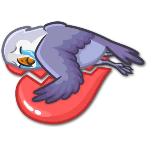 🐦Pajaros Lindos🐦  15