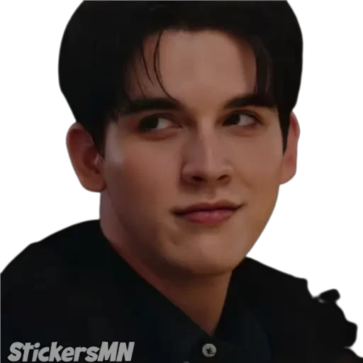 tray-icon