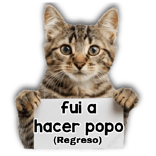 Michi mensajes gatito 🐱📩 9