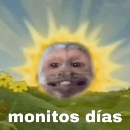 Memes pal chat🤎 5