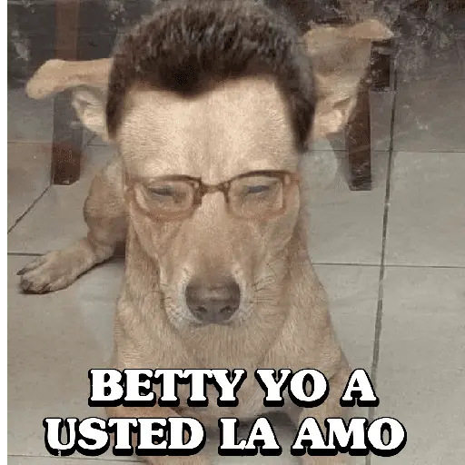 Memes 32 8