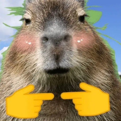 Capibara 🧸✨ 4