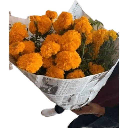 Flores Amarillas🌻ramos 19