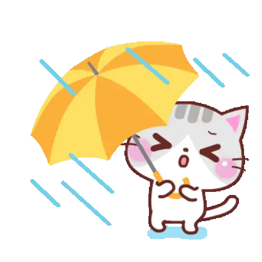Lluvia☔️🌧️ 4