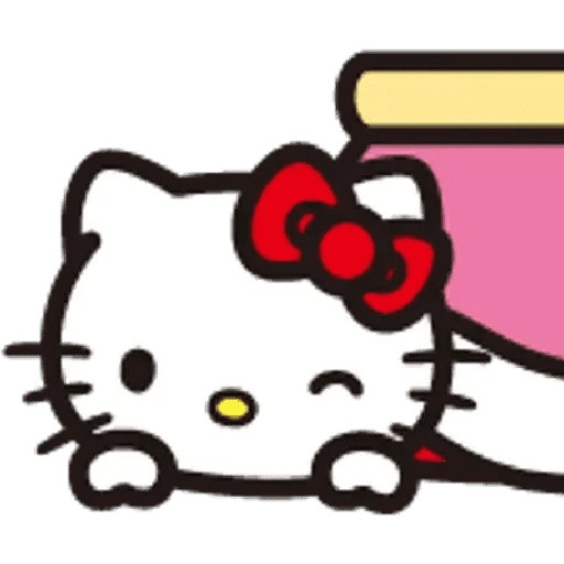⭐️sanrio Mix Hello Kitty 🎀🐾⭐️ 13