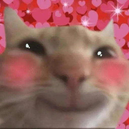 Gatitos pa tu Wsp😼🫰🏻 2