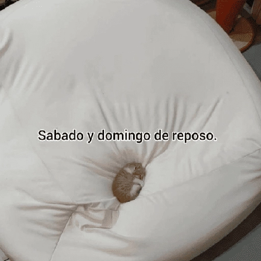 Sabado y domingo de reposo.