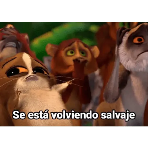 Ya no soy admin 14
