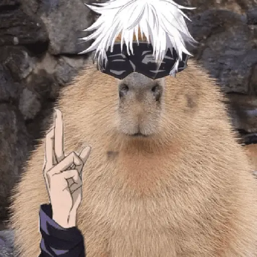 Capibara Random 🍉 3
