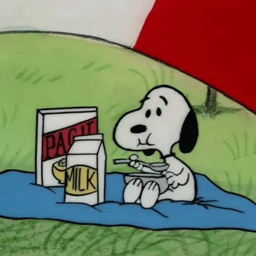 Stickers Snoopy sin contexto🐶 12
