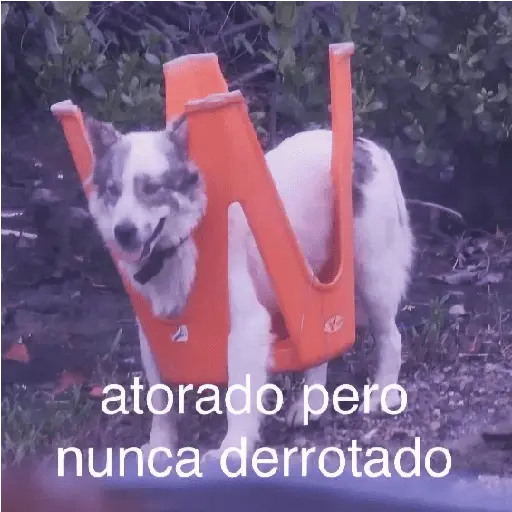 Más REACCIONES #6 🤖 7