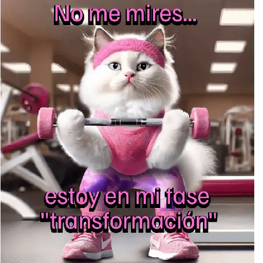 Funny Gym 💪🏼 4