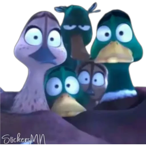 Migration 🦆💕 26