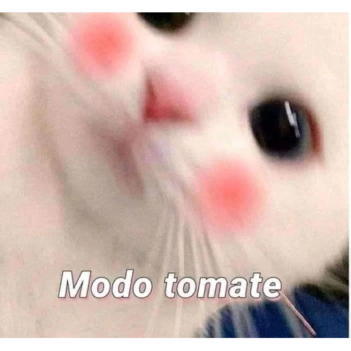 9.10 Multa Licencia modo 22