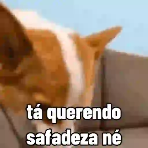 sapecagens - animadas