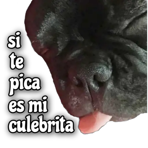 Quédate en casa 17