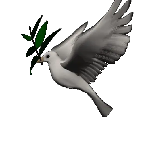🕊🪺 Paloma MIGAJERA 🪺🕊 11