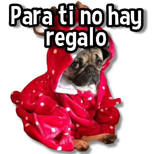 Para ti no hay regalo