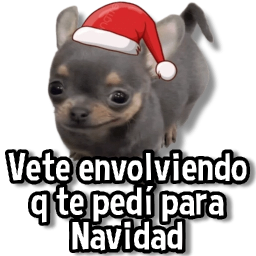 ngin Vete envolviendo q te pedí para Navidad