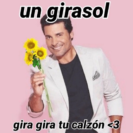 un girasol gira gira tu calzón <3