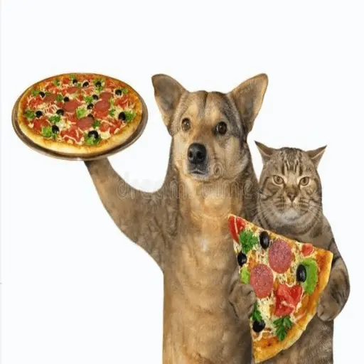 🍕•Ya Llegaron las Pipshash•🍕 4