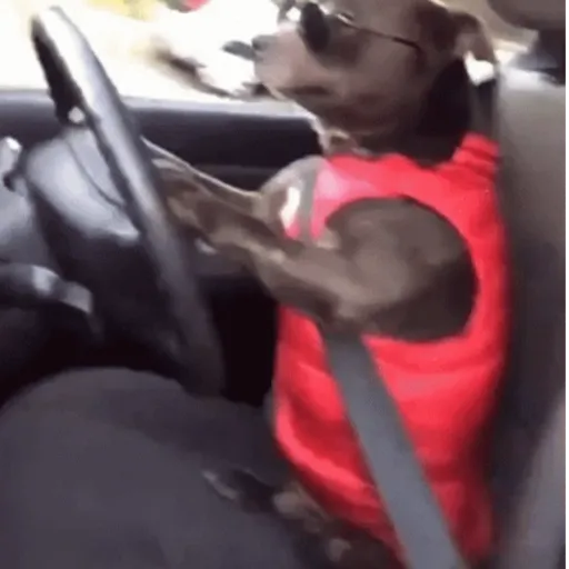 🚘 VOY LLEGANDO 😎