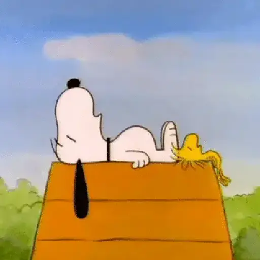 Snoopy Show🐶🤍✨ 10
