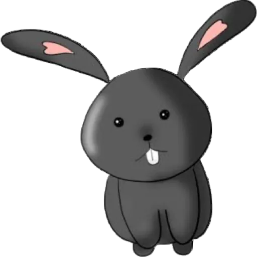 bunnies 💗 8