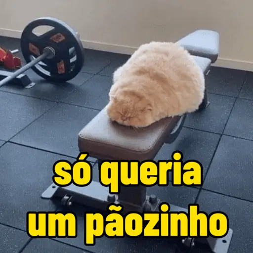 só queria um pãozinho