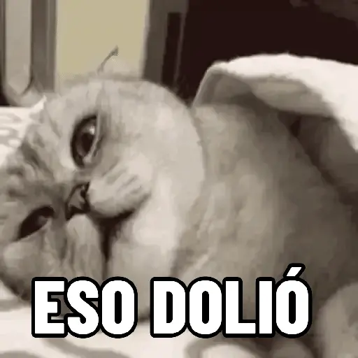 NO ME DEJES EN VISTO ✔️✔️😾 5