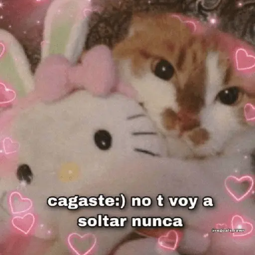 Amor para ti 🥰😍❤️ 8