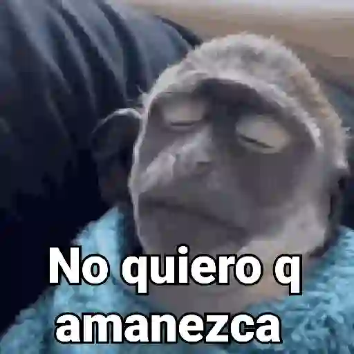 No quiero q amanezca