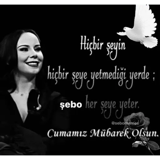 Türk Meme 1