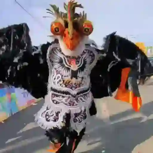 🎭 Carnaval 🎉 8