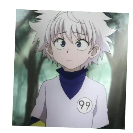 hunter x Hunter 24