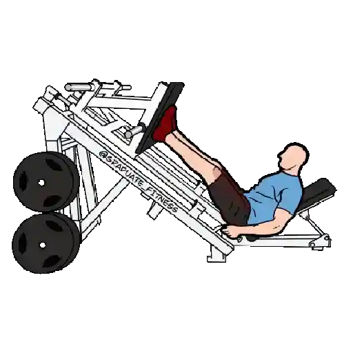 GYM TREINO ACADEMIA 6
