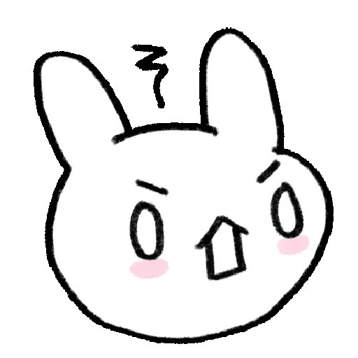BUNNY 🤍🐰 11