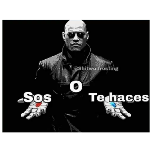 soy admin 23