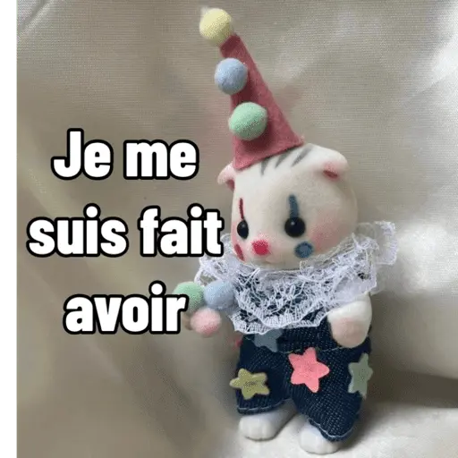 Ternurines en francés 10