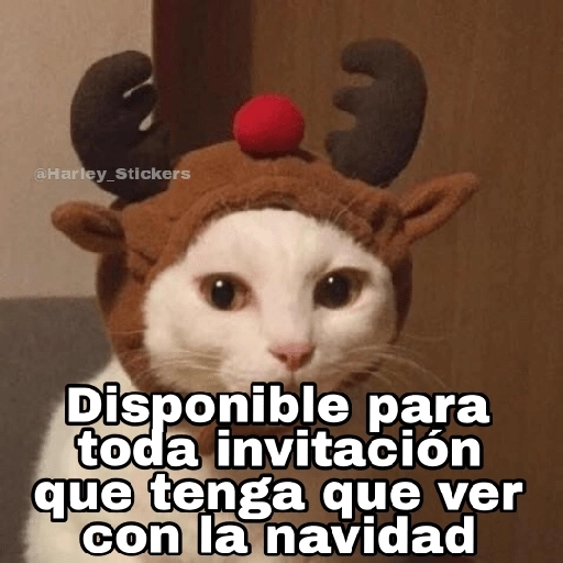 Gatitos Navidad 4