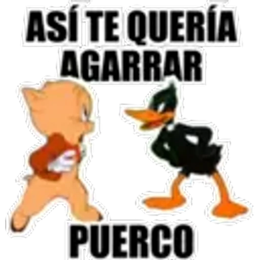 4.20 Comida Pig ## 18