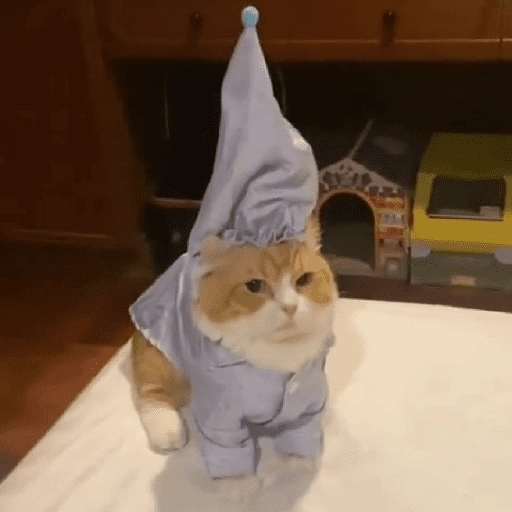 MICHIS 🥰🐱 28
