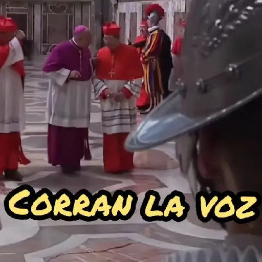 Papa Leon XIV 😎 25