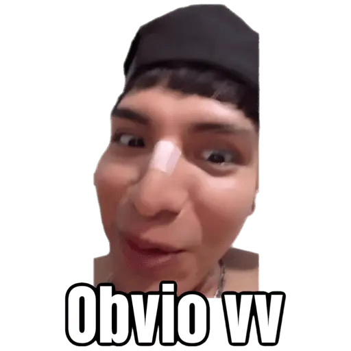 Obvio VV
