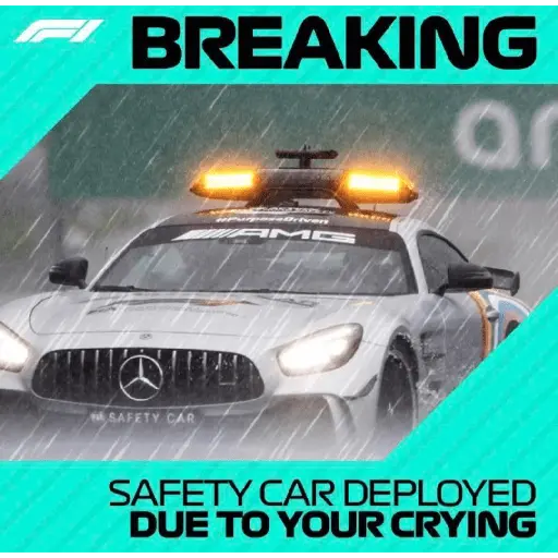 formula 1 11