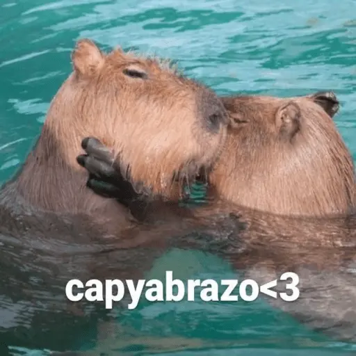 Capibara 🧸✨ 2