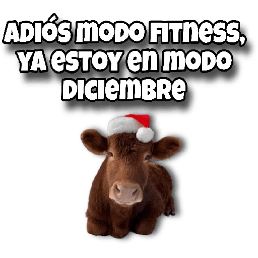 ADIÓS MODO FITNESS, YA ESTOY en modo DICIEMBRE