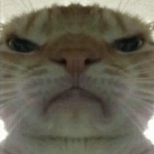 Ya me enojé 😤🙄😒 4