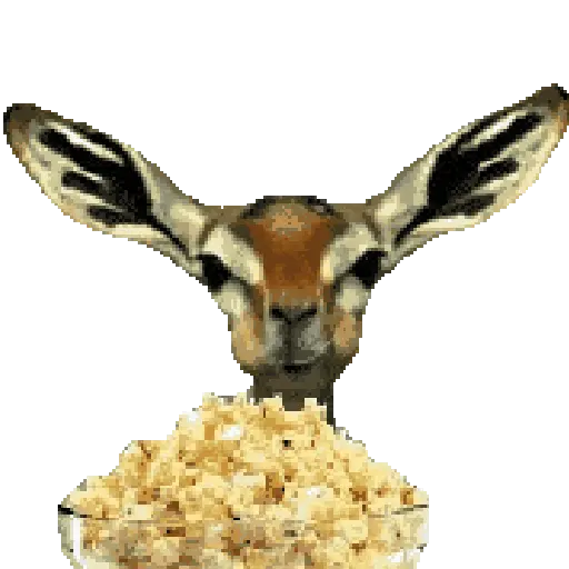 🔊cuenta chisme📢 🧃🍿 12